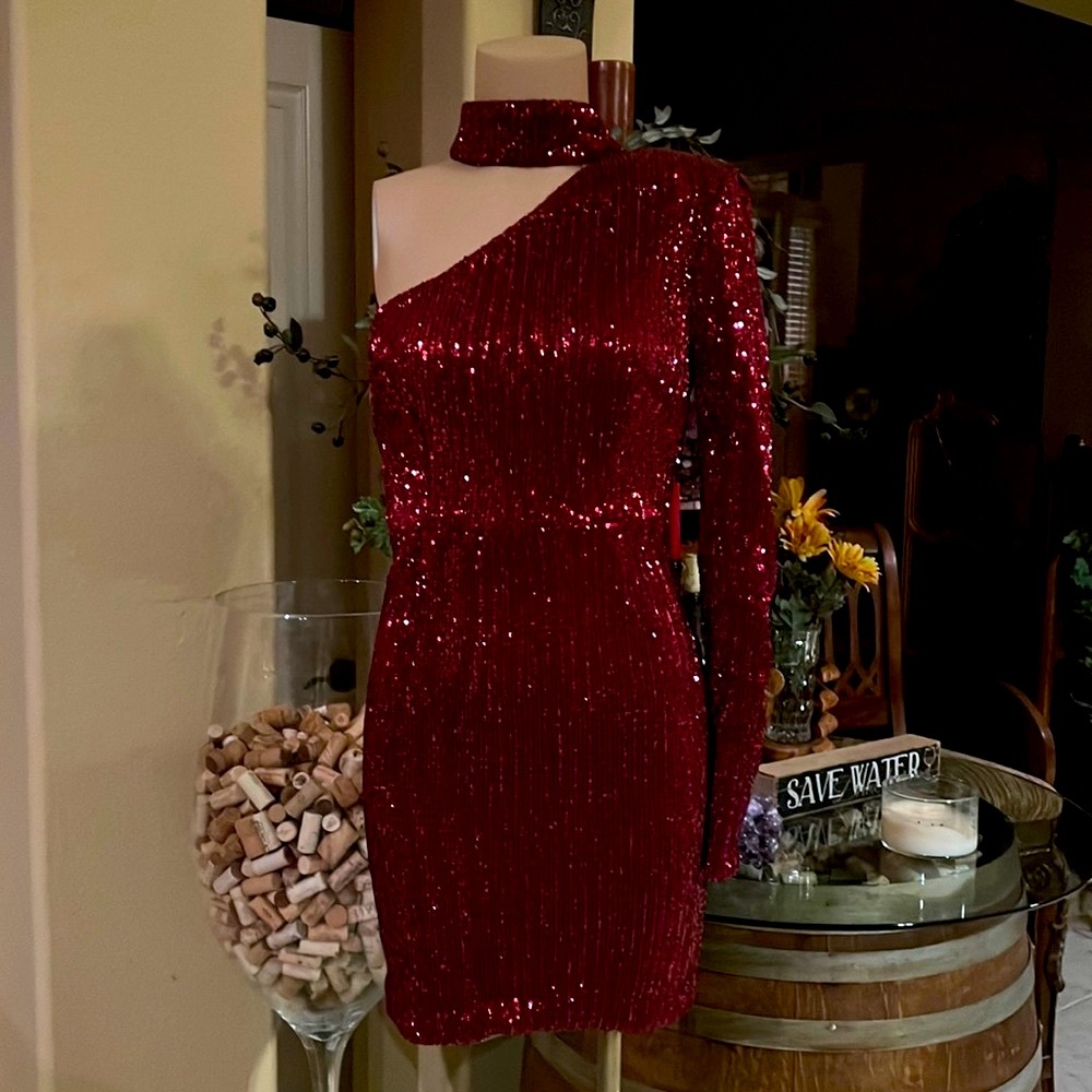 Dark Red/ maroon color of the season fitted sequin mini dress.